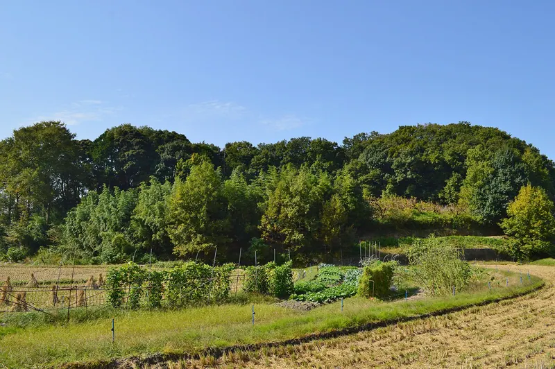 Nakayama Ōtsuka Kofun