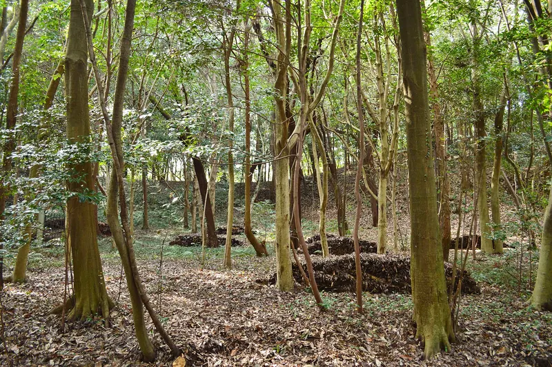 Nakayama Chausuyama Kofun