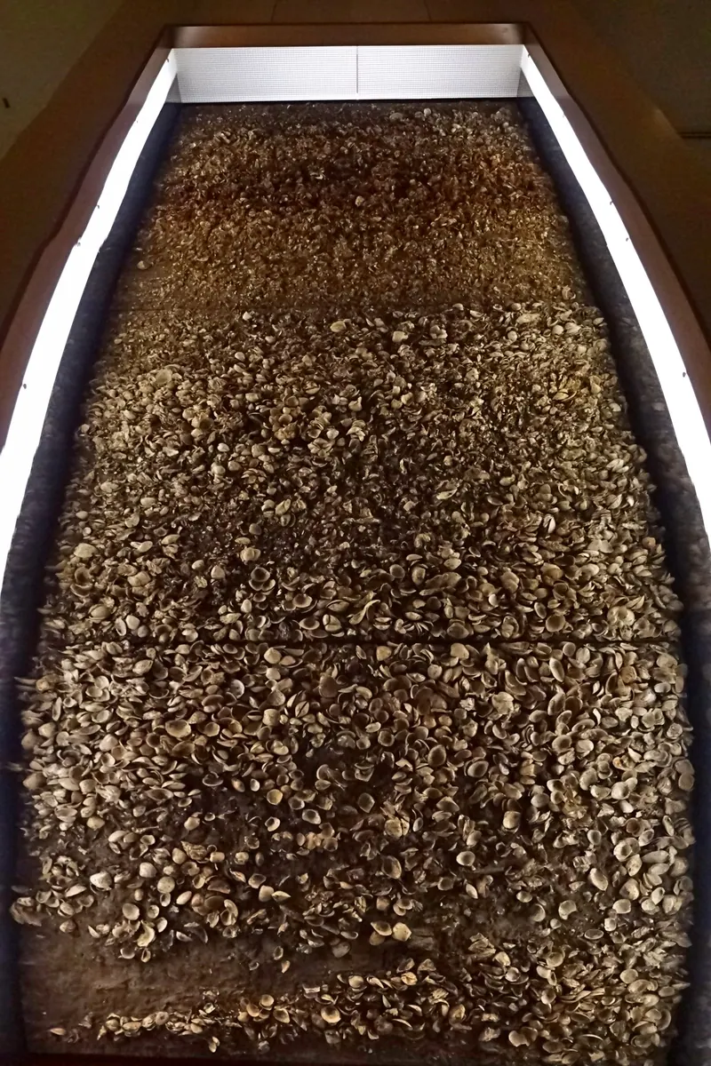 Nakazato Shell Mound