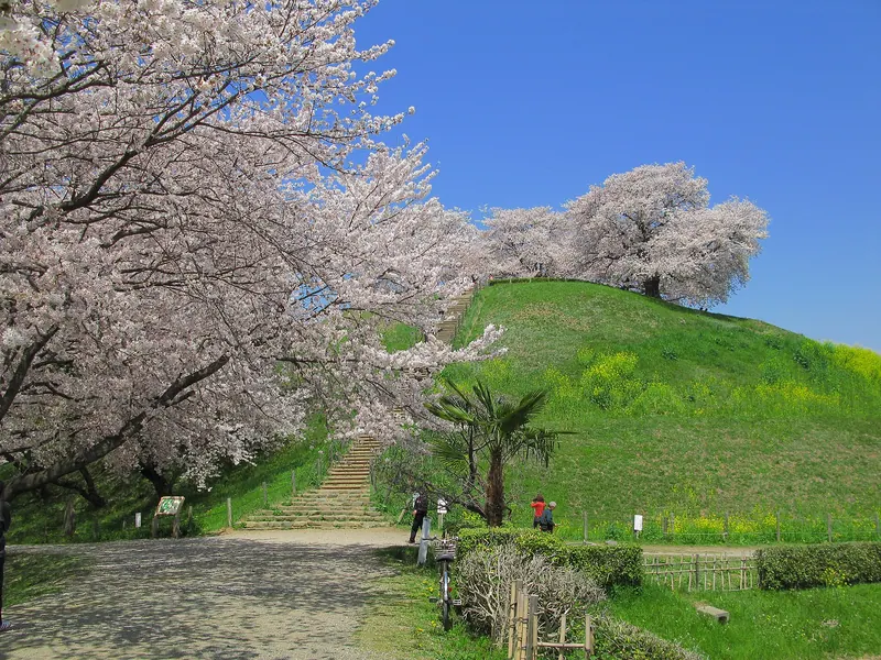 Maruhakayama Kofun