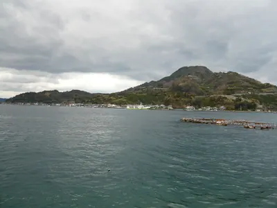 Kushima