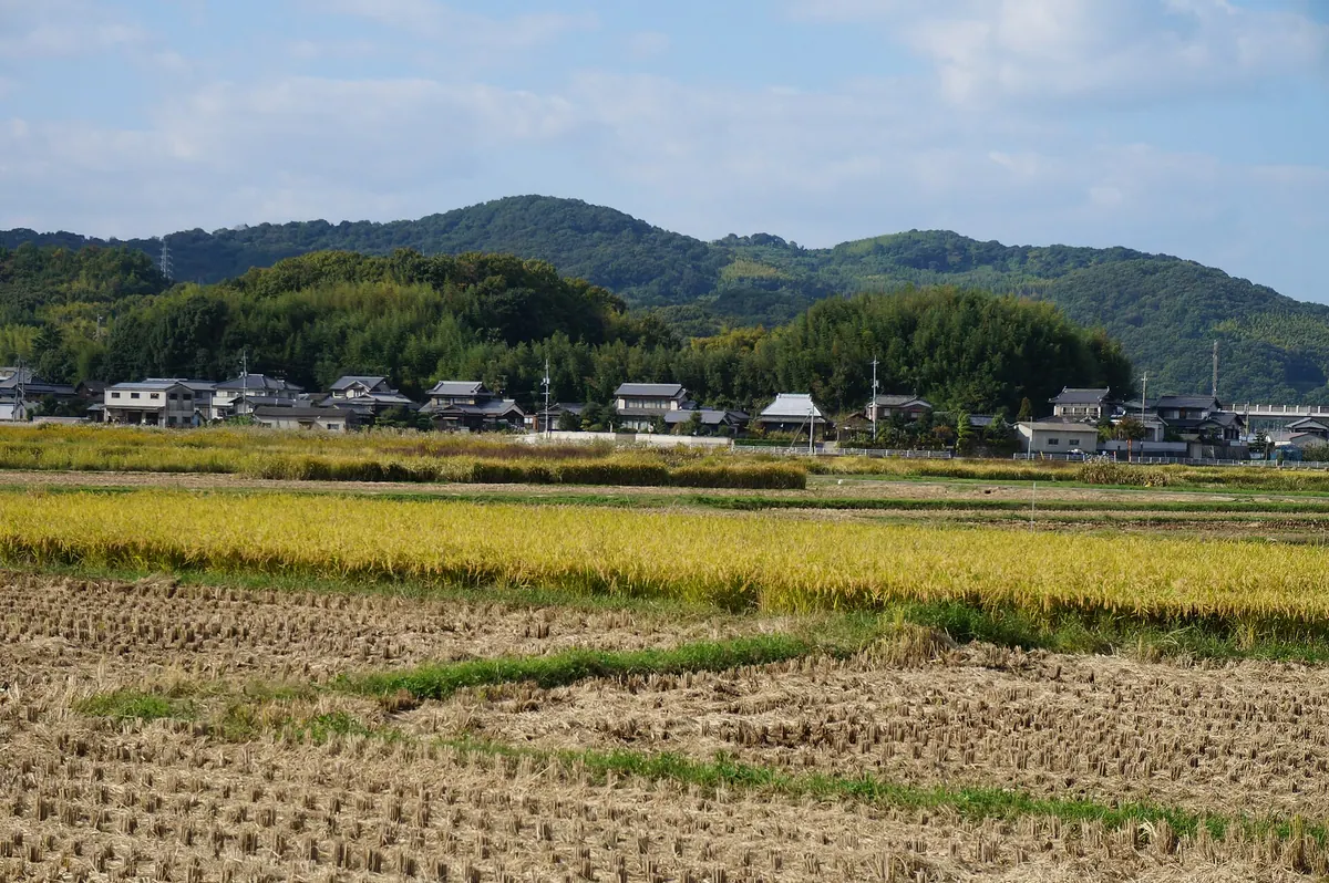 Kameyama Castle