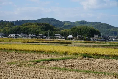 Kameyama Castle