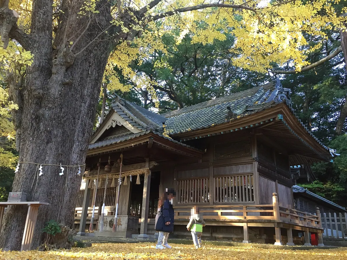 Kotonomama Hachimangū