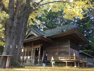 Kotonomama Hachimangū