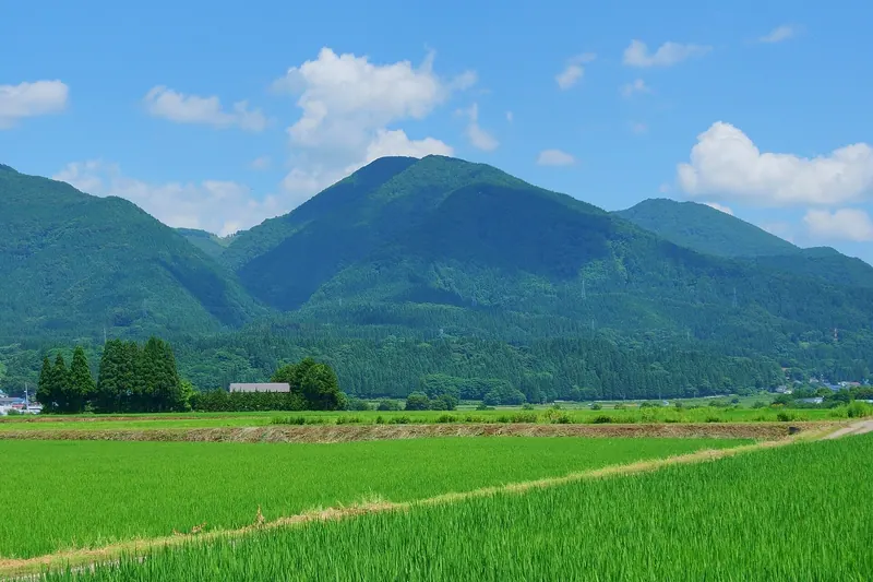 Mount Gonomiya