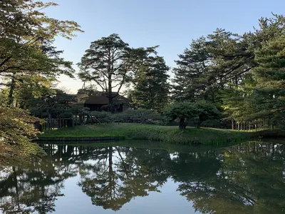 Ijimino Ochaya