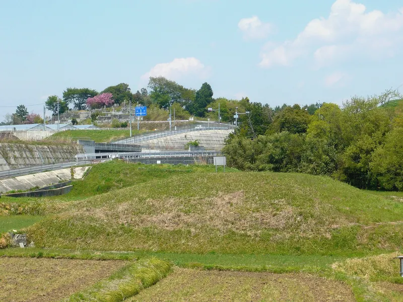 Gojō Nekozuka Kofun