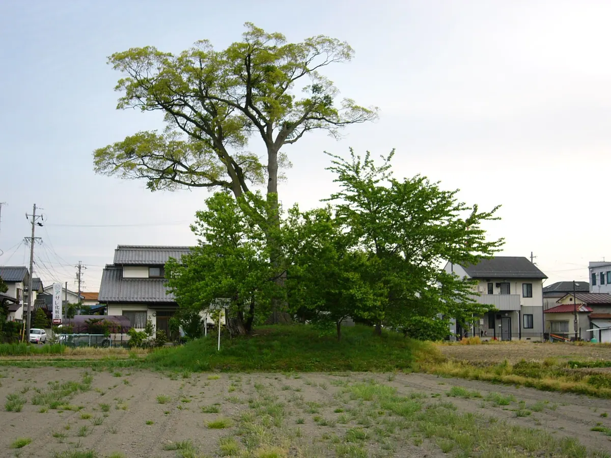 Igawa Castle