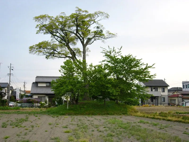 Igawa Castle