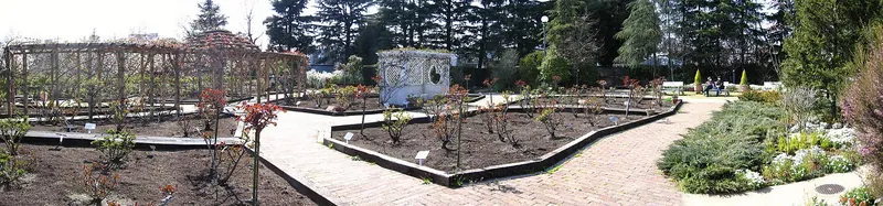 Keio Floral Garden Ange