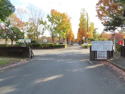 Yokoōji Sports Park