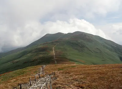 Mount Sennokura