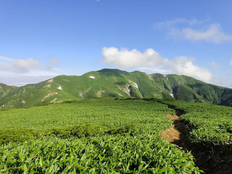 Mount Ito