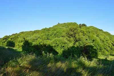 Nakatsuyama Kofun