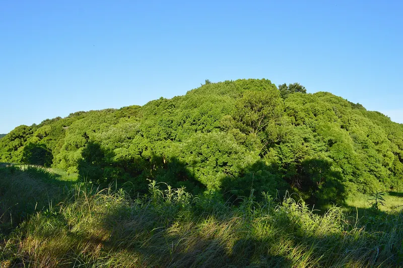 Nakatsuyama Kofun