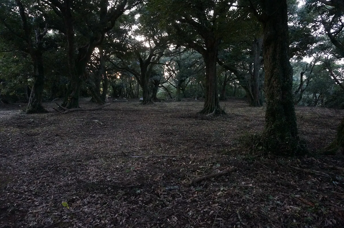 Izaku Castle