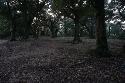 Izaku Castle
