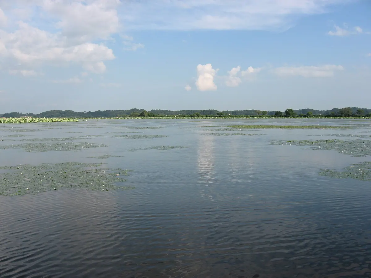 Izunuma