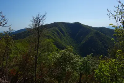 Mount Obako
