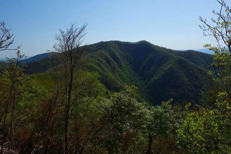 Mount Obako