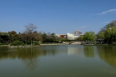 Suminoe Park