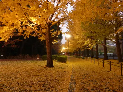 Hodogaya Park