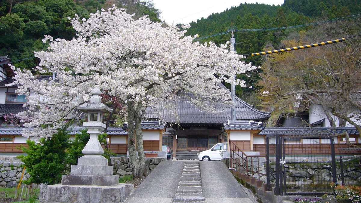 Kōsen-ji Temple (Chizu)