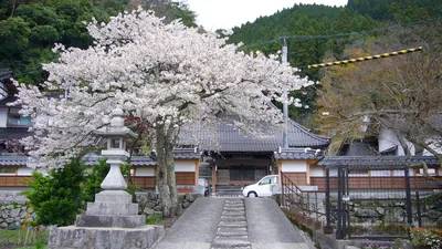 Kōsen-ji Temple (Chizu)