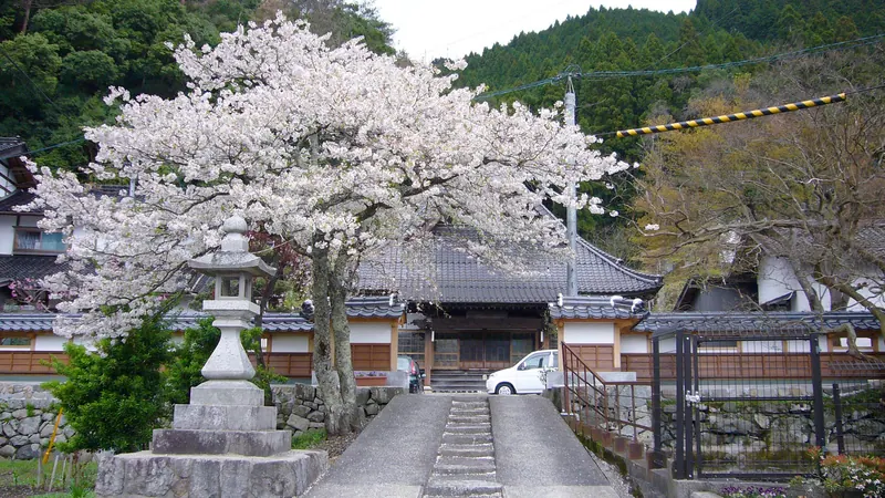 Kōsen-ji Temple (Chizu)