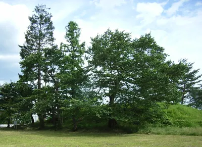 Kabutozuka Kofun (Sendai)