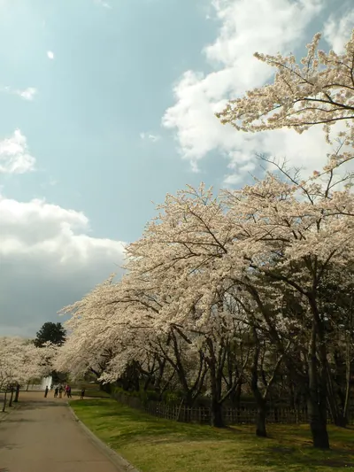 Hachinohe Park