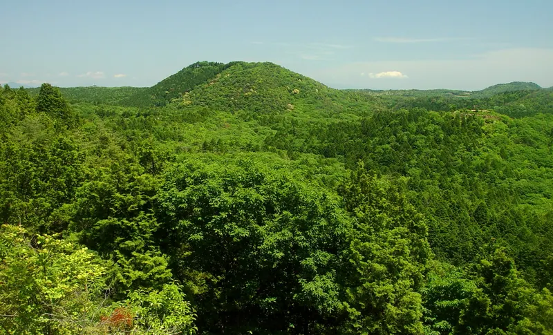 Mount Hasso