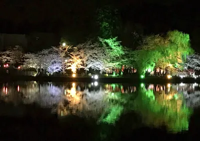 Hakkao-ko