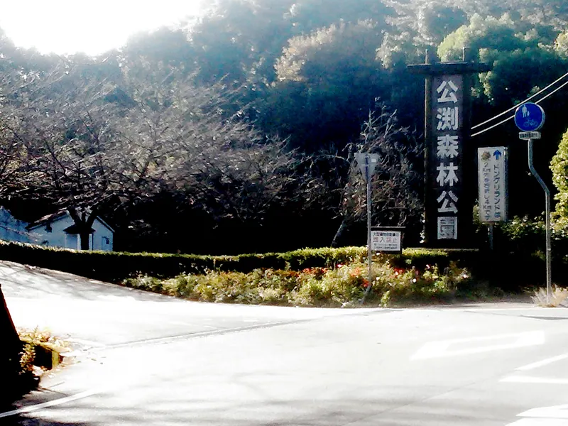 Kinbuchi forest park