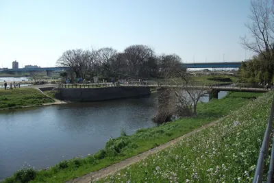 Hyōgo Island Park