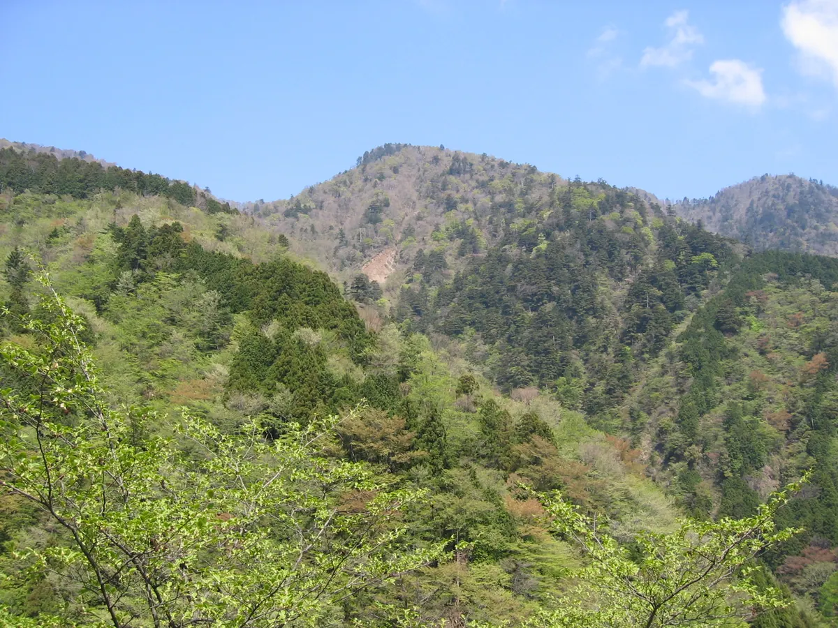 Mount Enzanginoatama