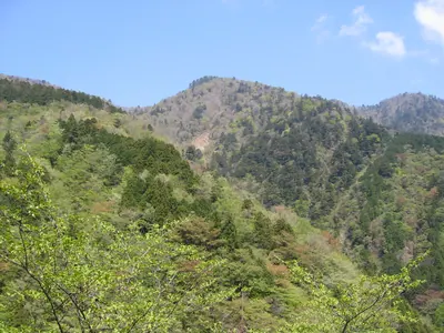 Mount Enzanginoatama