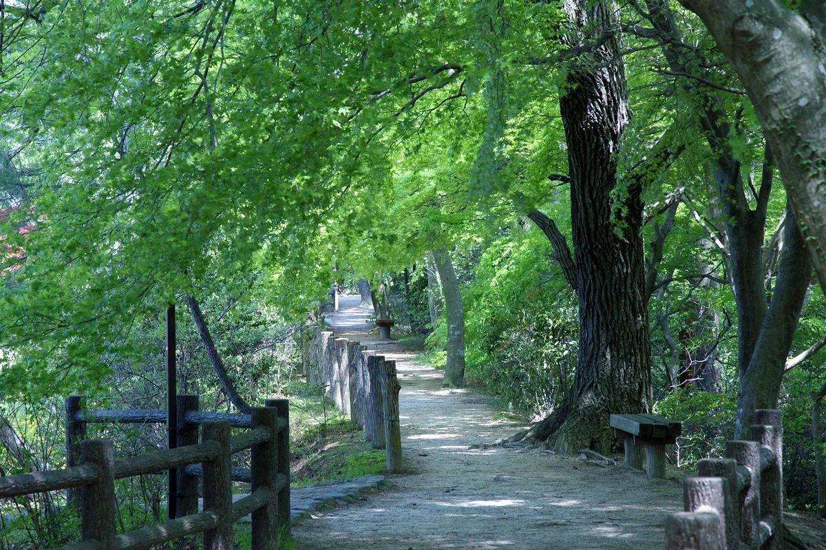 Futatabi Park