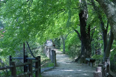 Futatabi Park