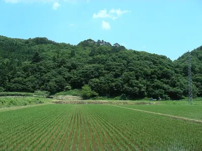 Hanganmori