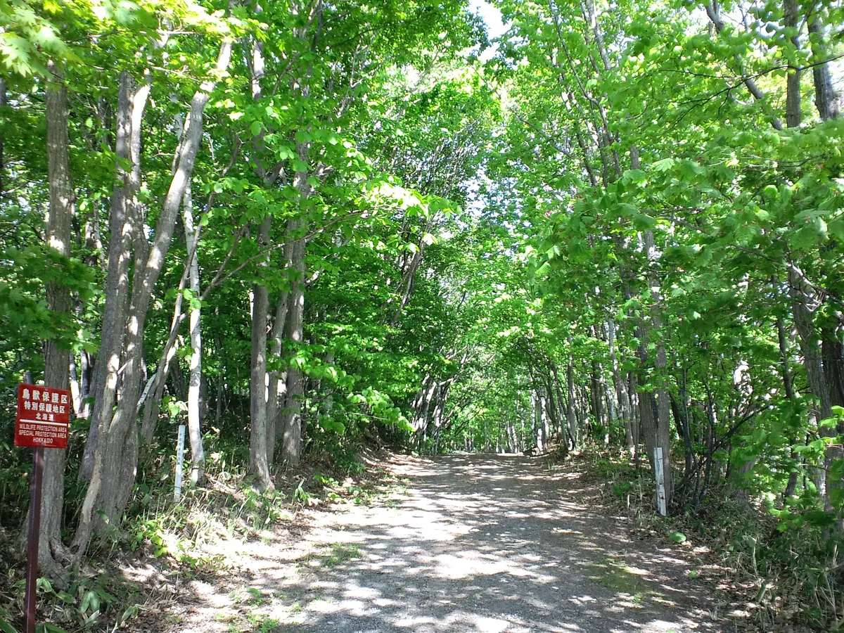 Tonebetsu Forest Park