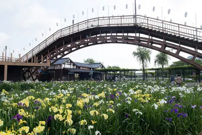 Suigō Itako Iris Garden