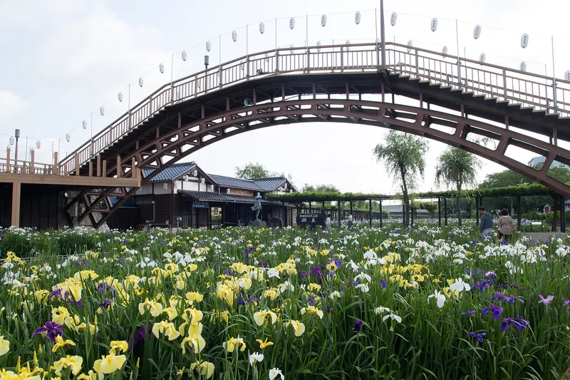 Suigō Itako Iris Garden