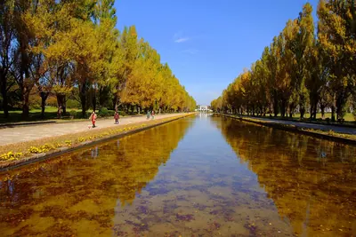 Maeda Forest Park