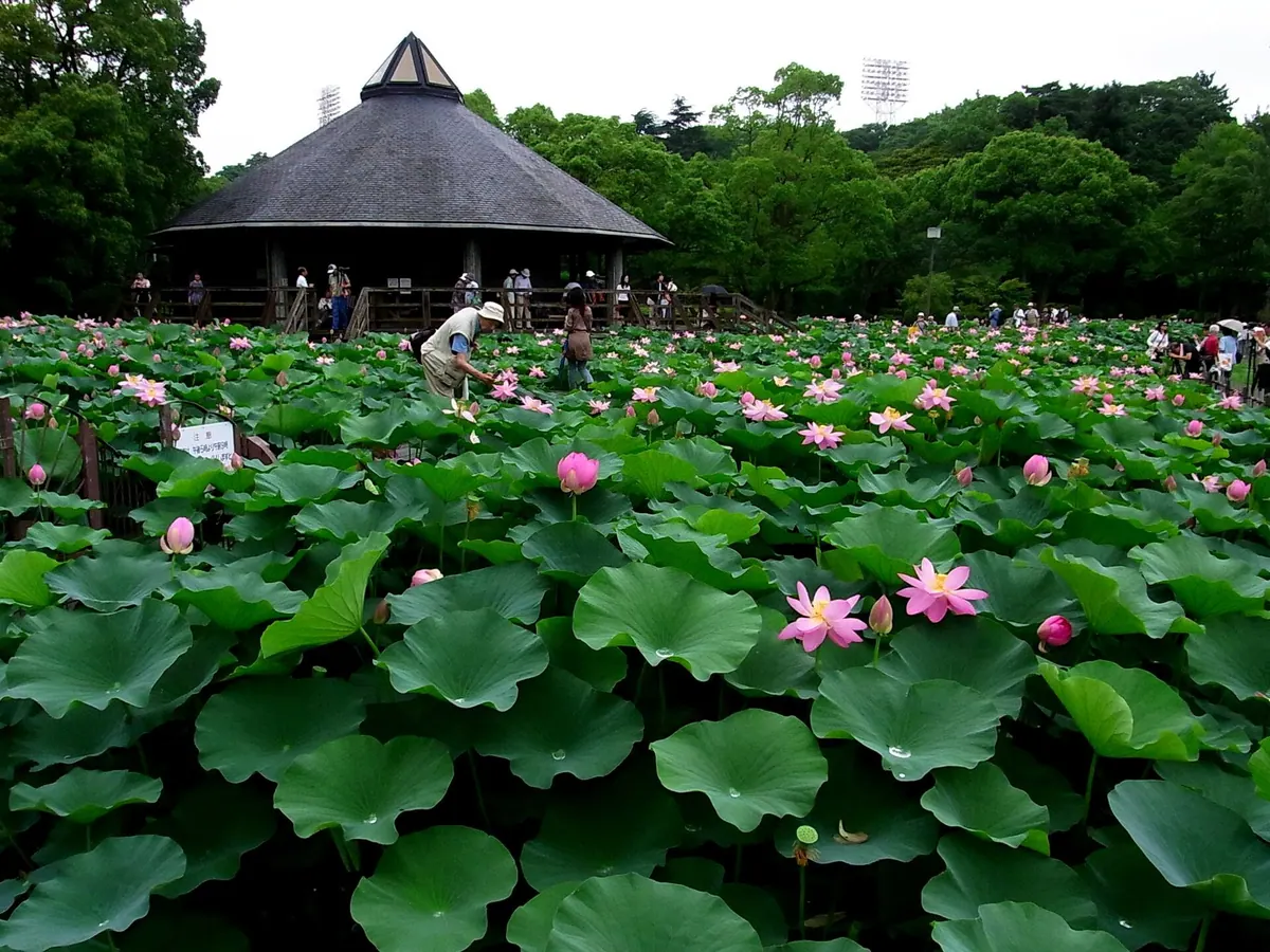 Chiba Park