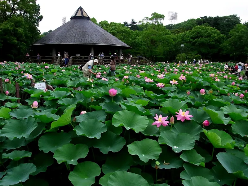 Chiba Park