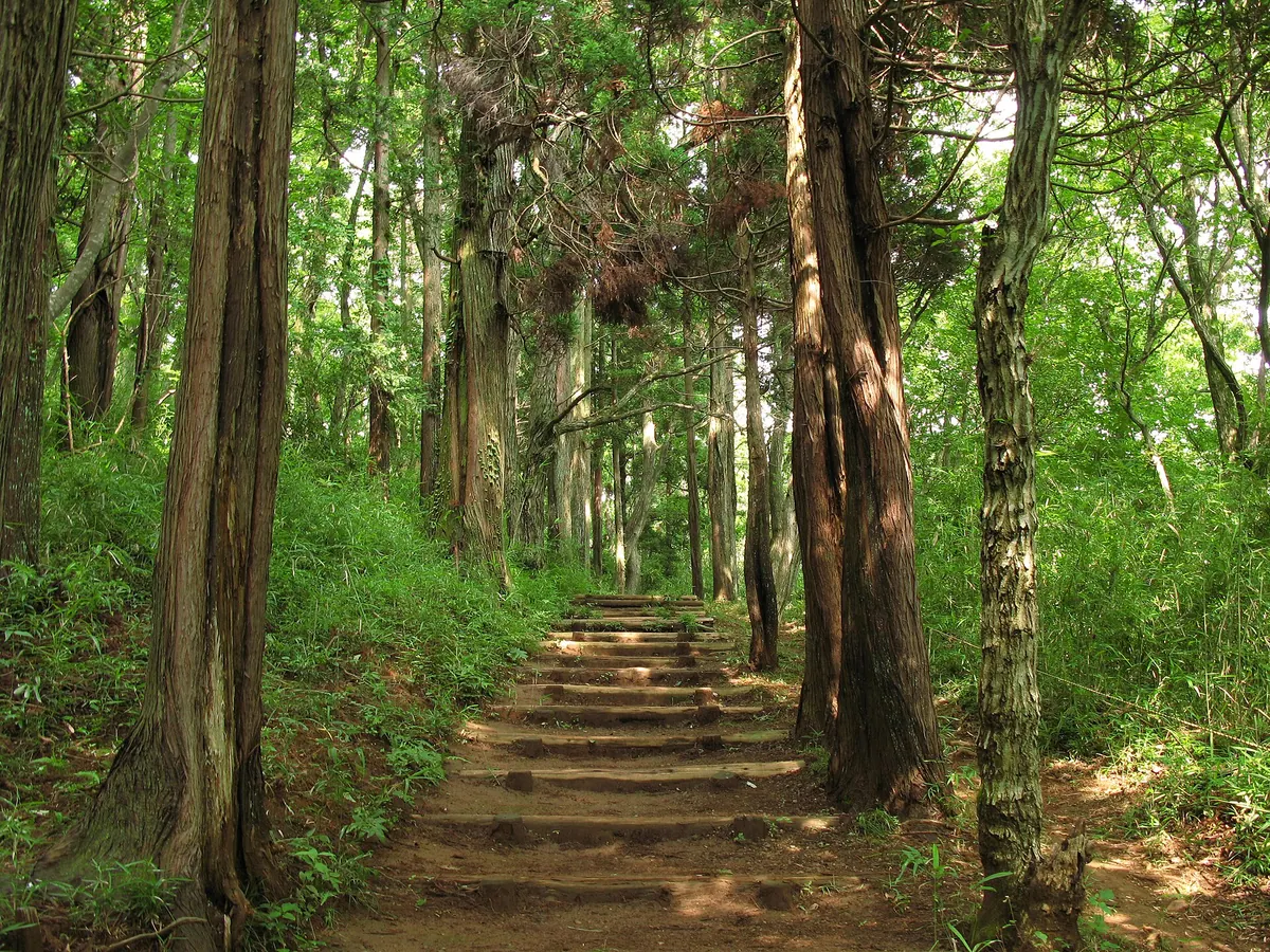 Shōwa no Mori