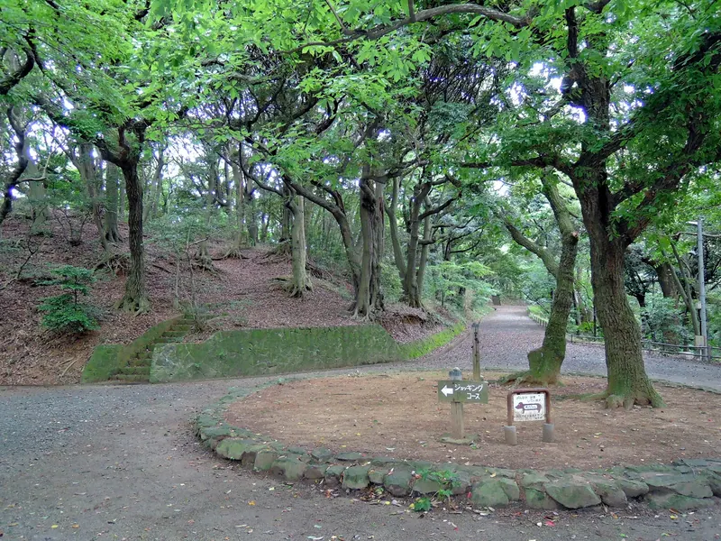Minami Park