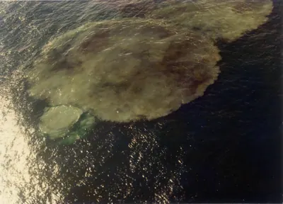 Minami-Hiyoshi Seamount